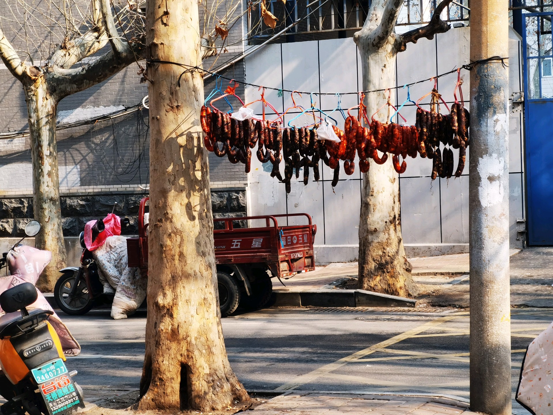 齐鲁晚报网-山东新闻门户 传播品质资讯