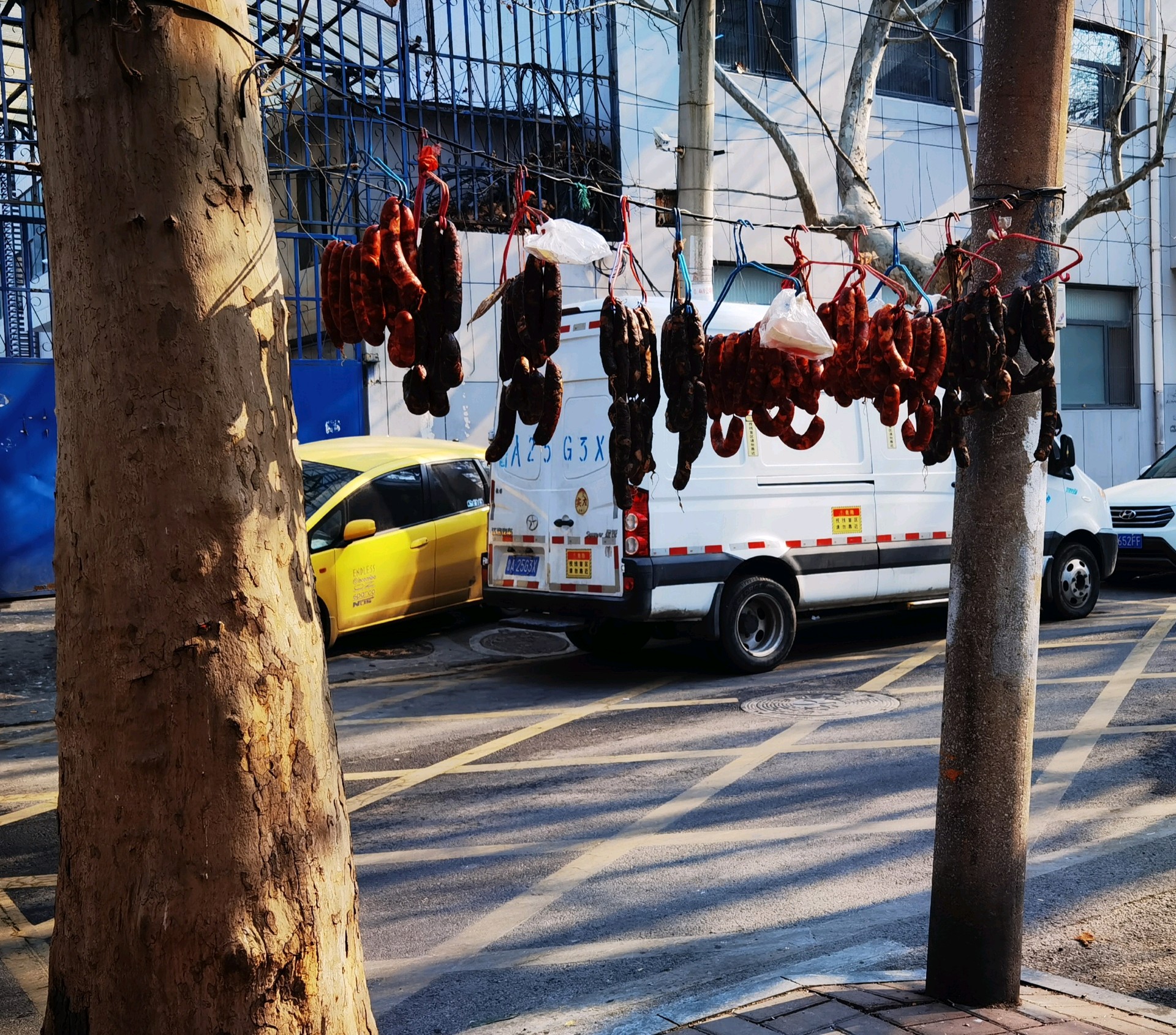 齐鲁晚报网-山东新闻门户 传播品质资讯