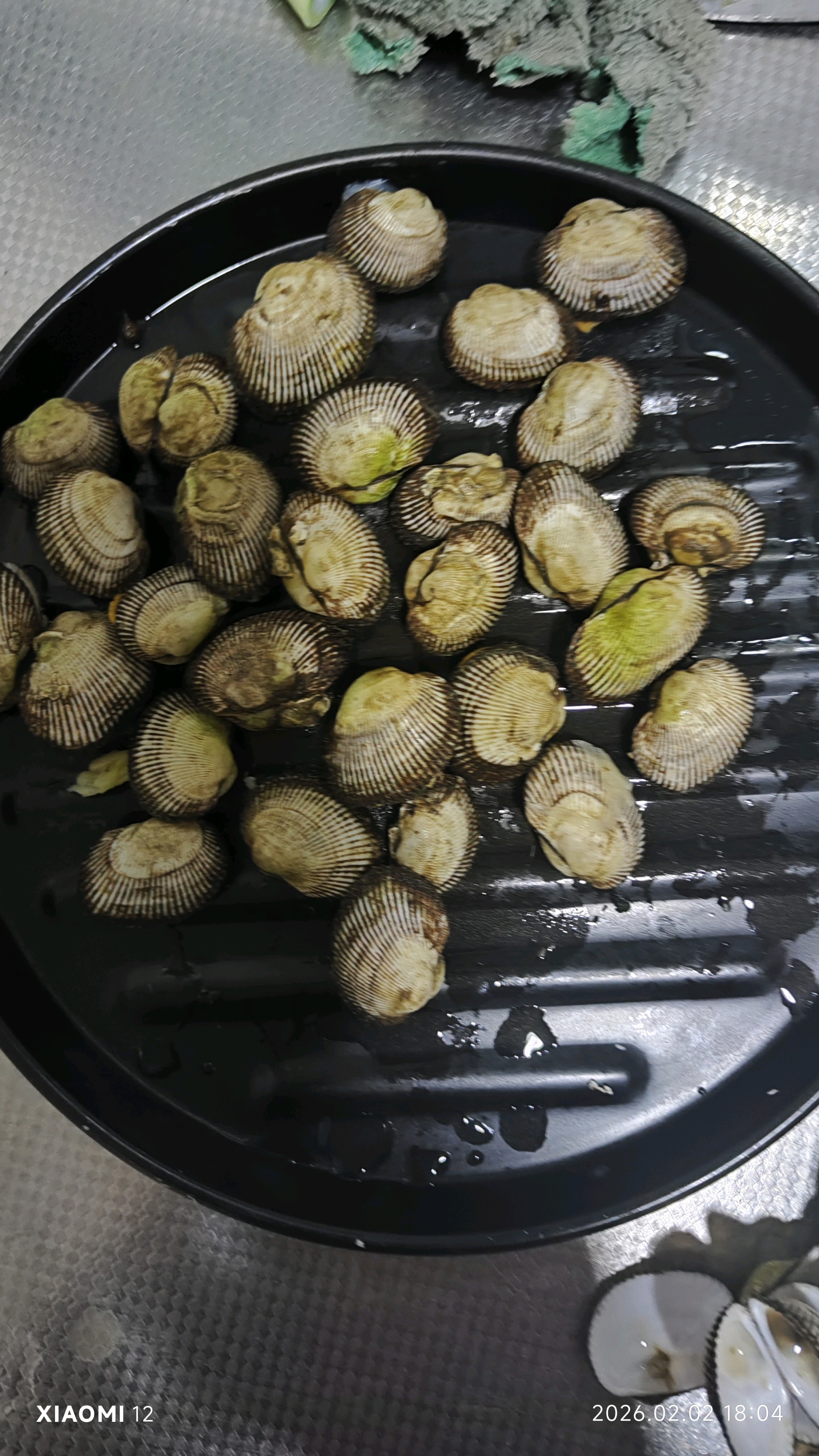 齐鲁晚报网-山东新闻门户 传播品质资讯