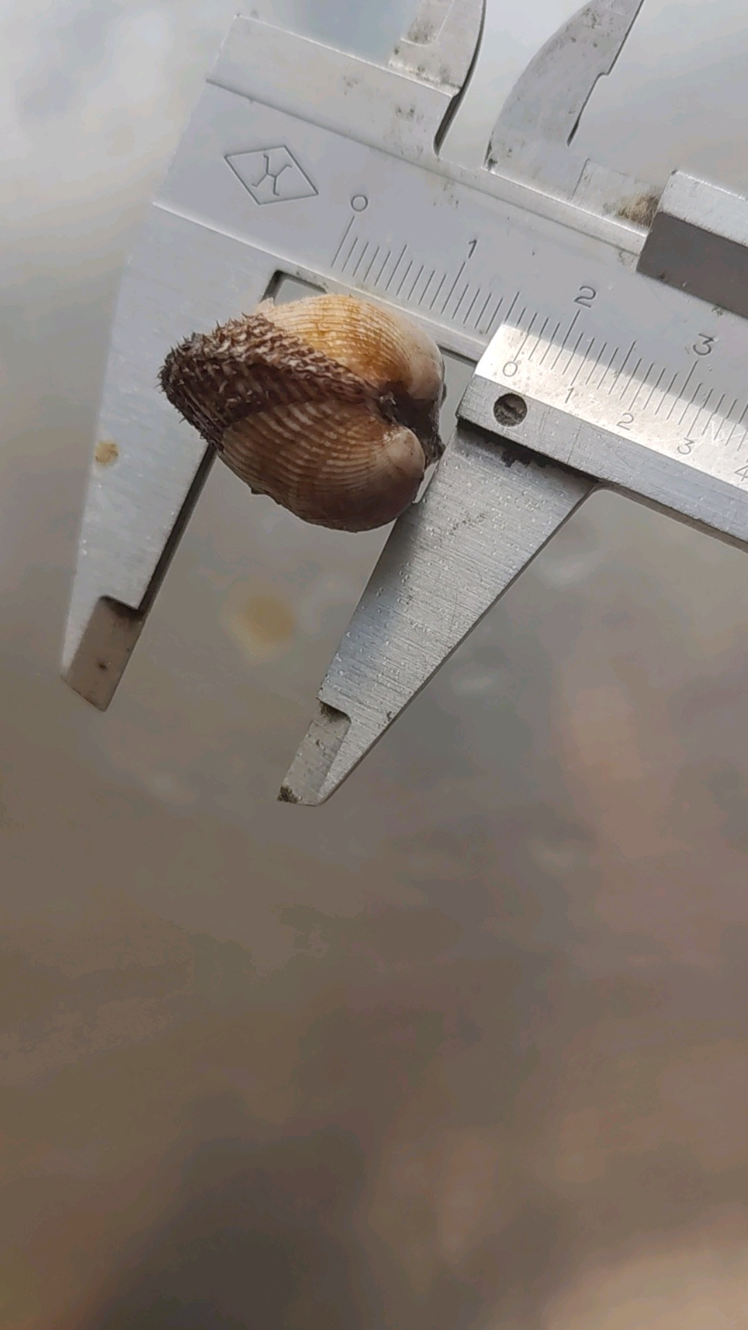 齐鲁晚报网-山东新闻门户 传播品质资讯