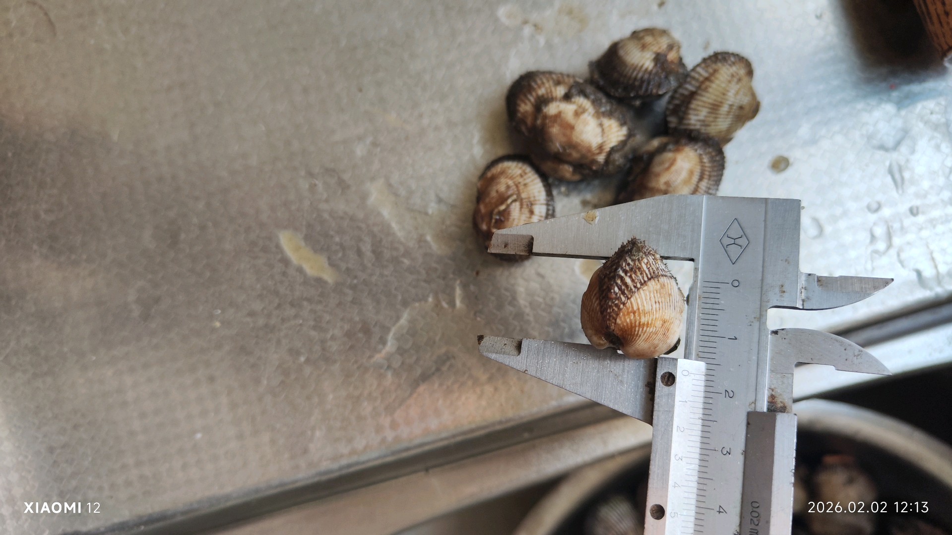 齐鲁晚报网-山东新闻门户 传播品质资讯