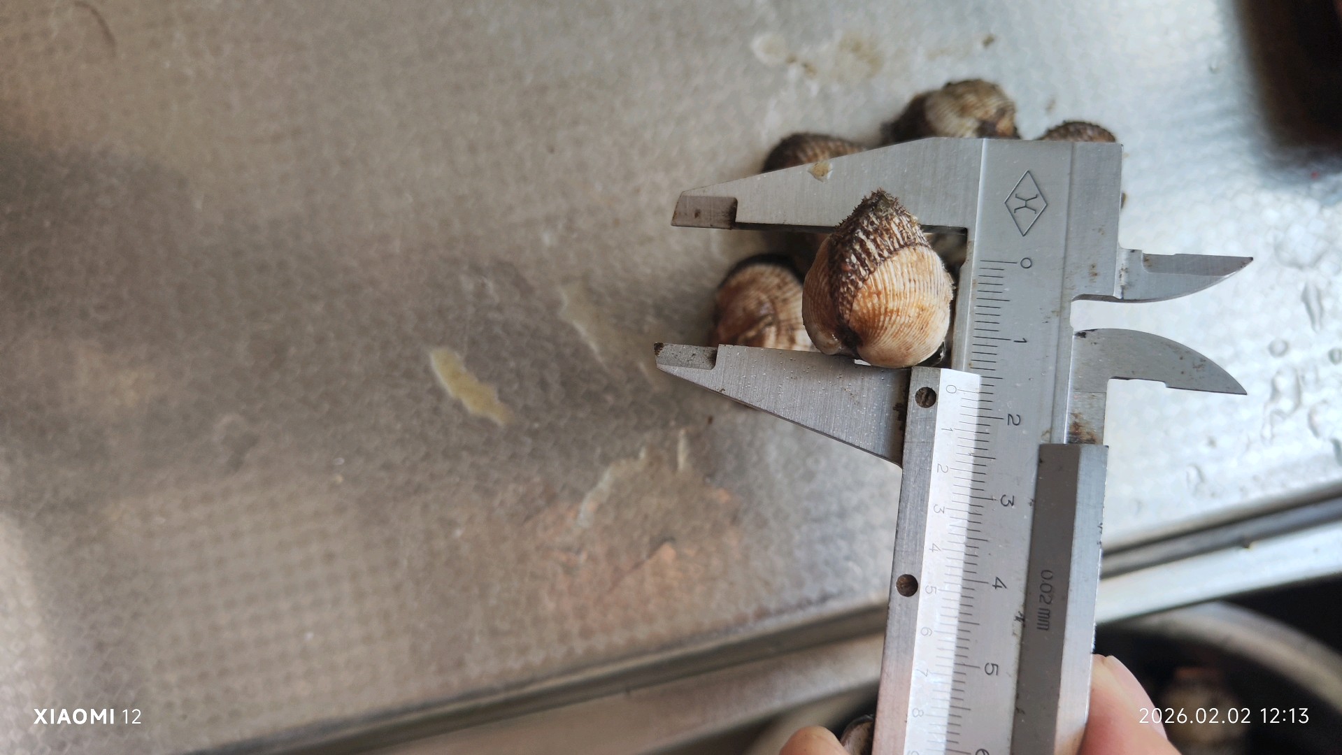 齐鲁晚报网-山东新闻门户 传播品质资讯