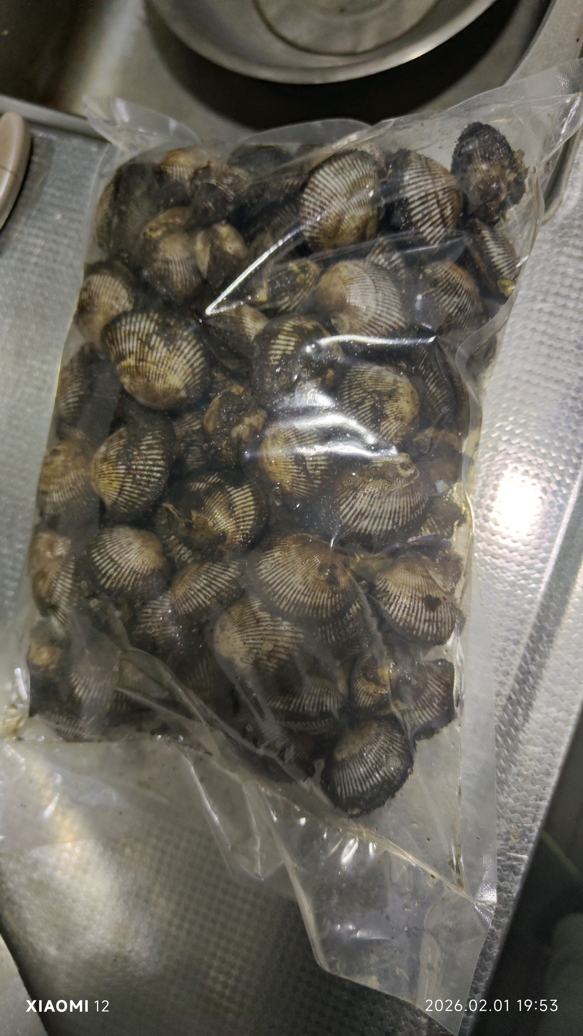 齐鲁晚报网-山东新闻门户 传播品质资讯