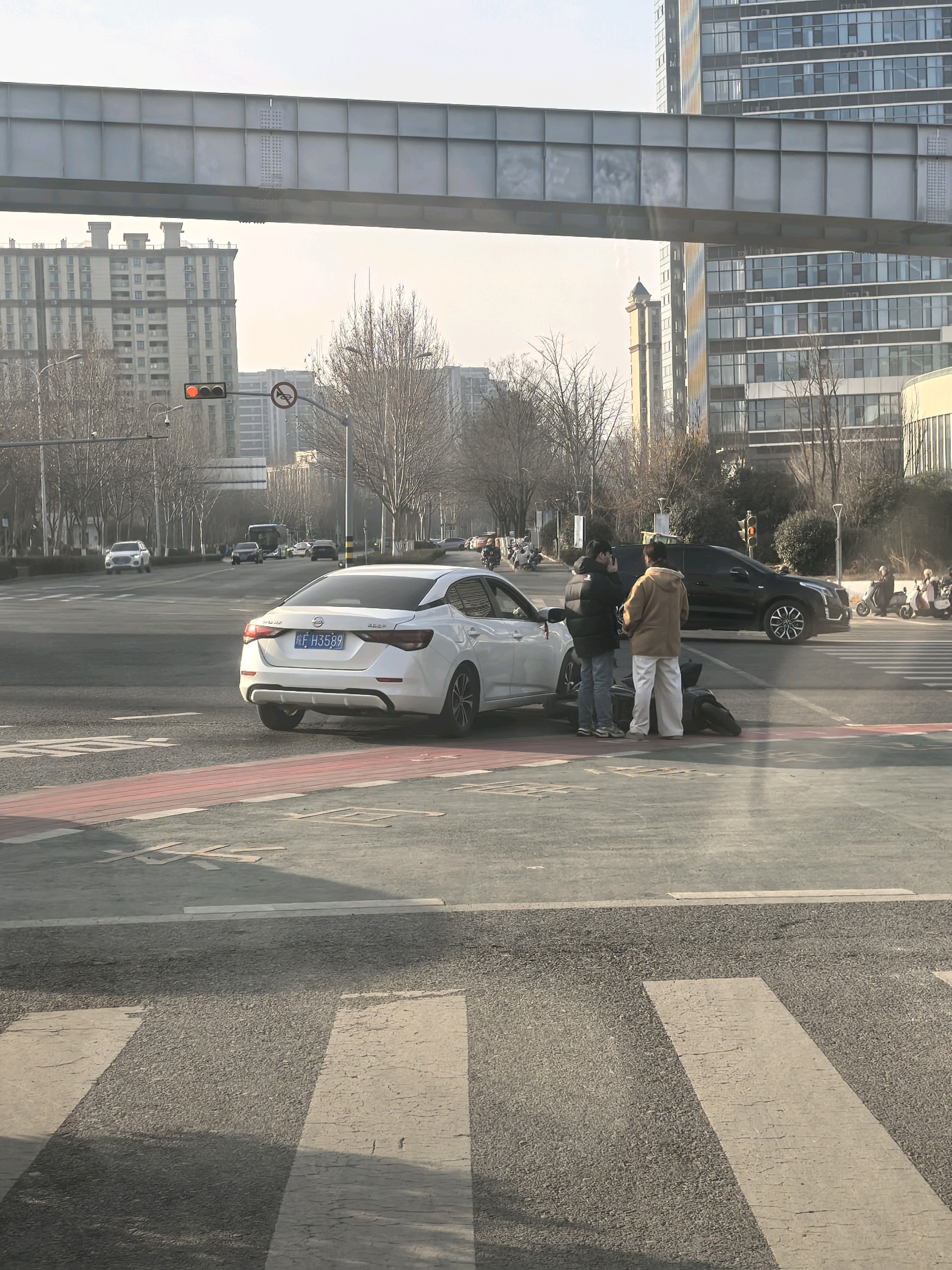 齐鲁晚报网-山东新闻门户 传播品质资讯