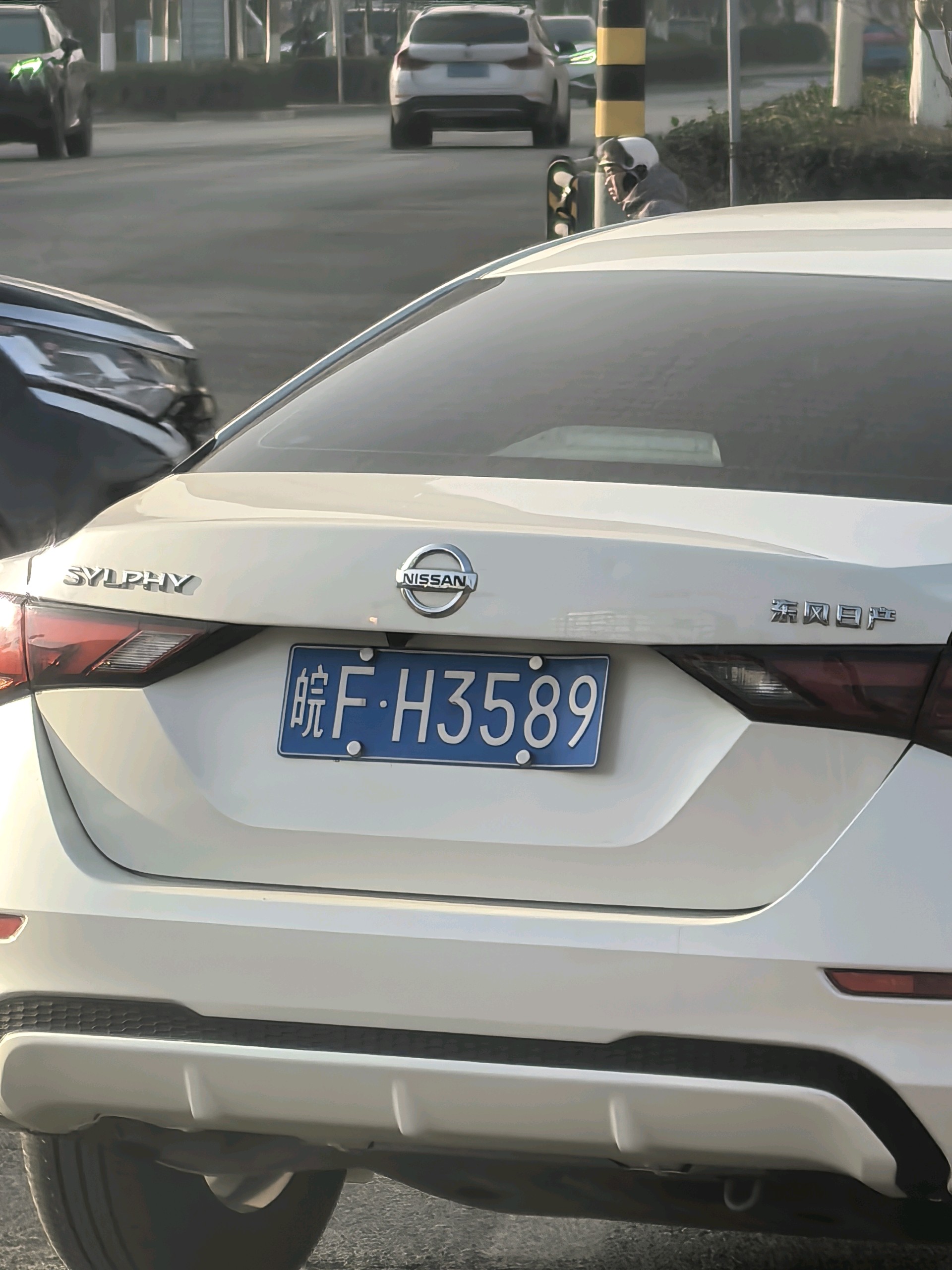 齐鲁晚报网-山东新闻门户 传播品质资讯