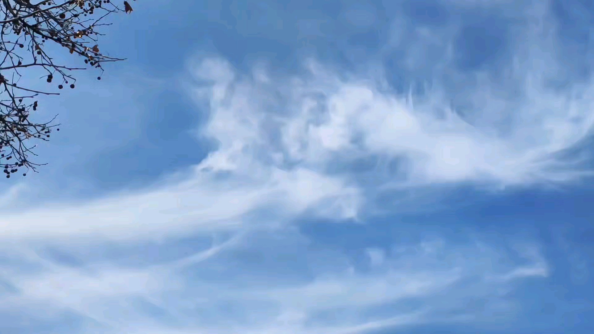 大年初一淄博:阳光明媚，风轻云淡，一派祥合