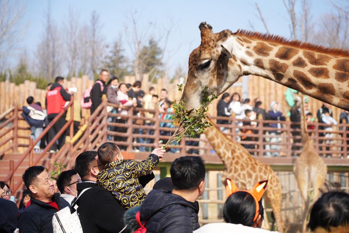 果然视频｜客流爆棚！济南野生动物世界多重惊喜伴游客过大年