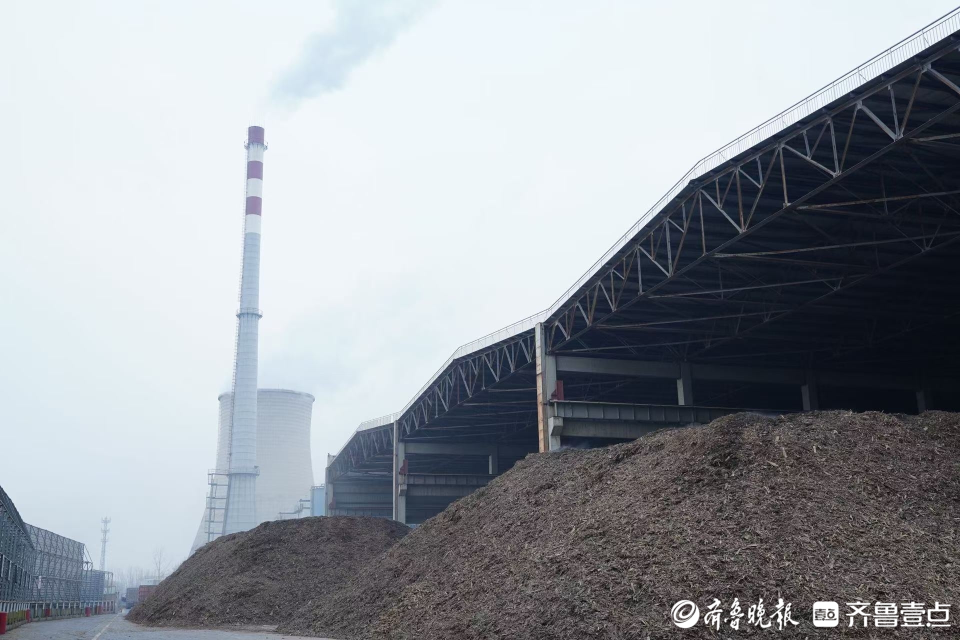 新春走基层｜秸秆变“绿金”，蹚出双赢路