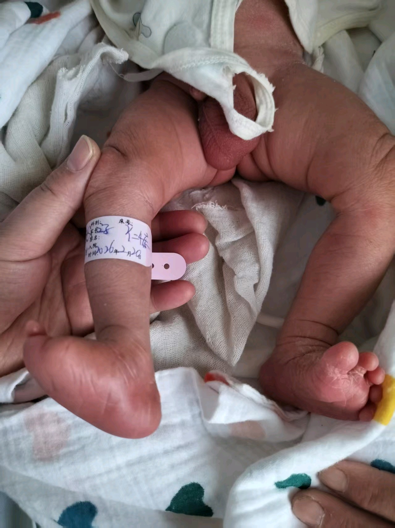 齐鲁晚报网-山东新闻门户 传播品质资讯