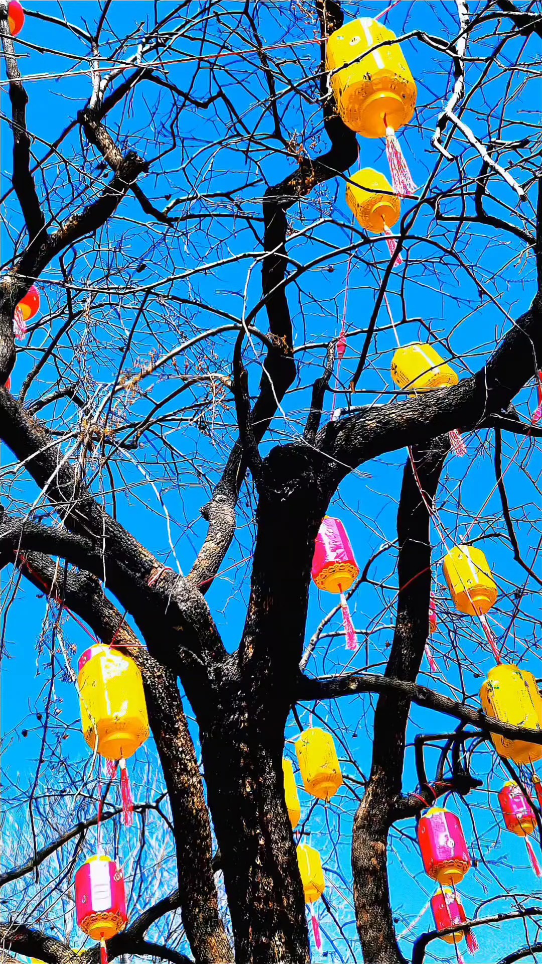 灯笼高高挂，喜迎元宵节