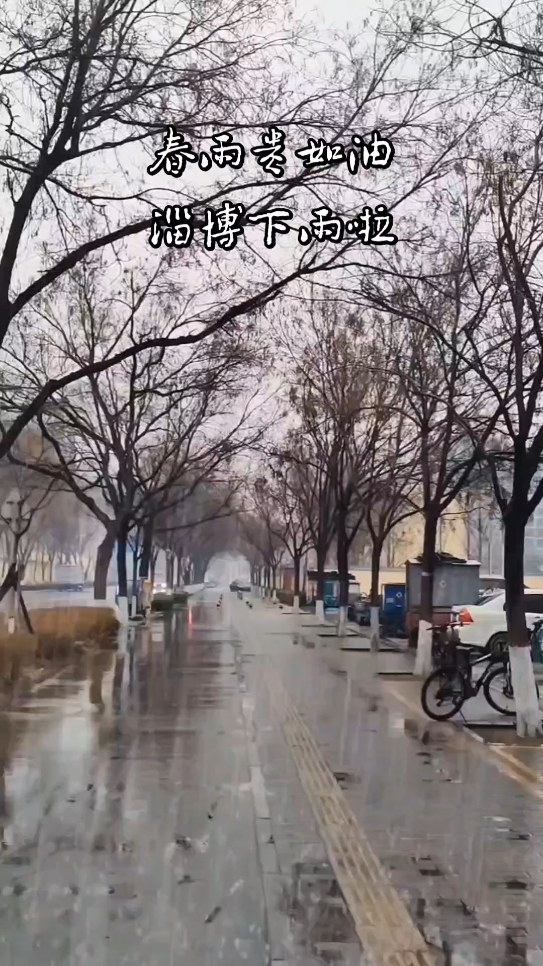 好雨知时节，春雨贵如油；淄博下起今年第一场雨