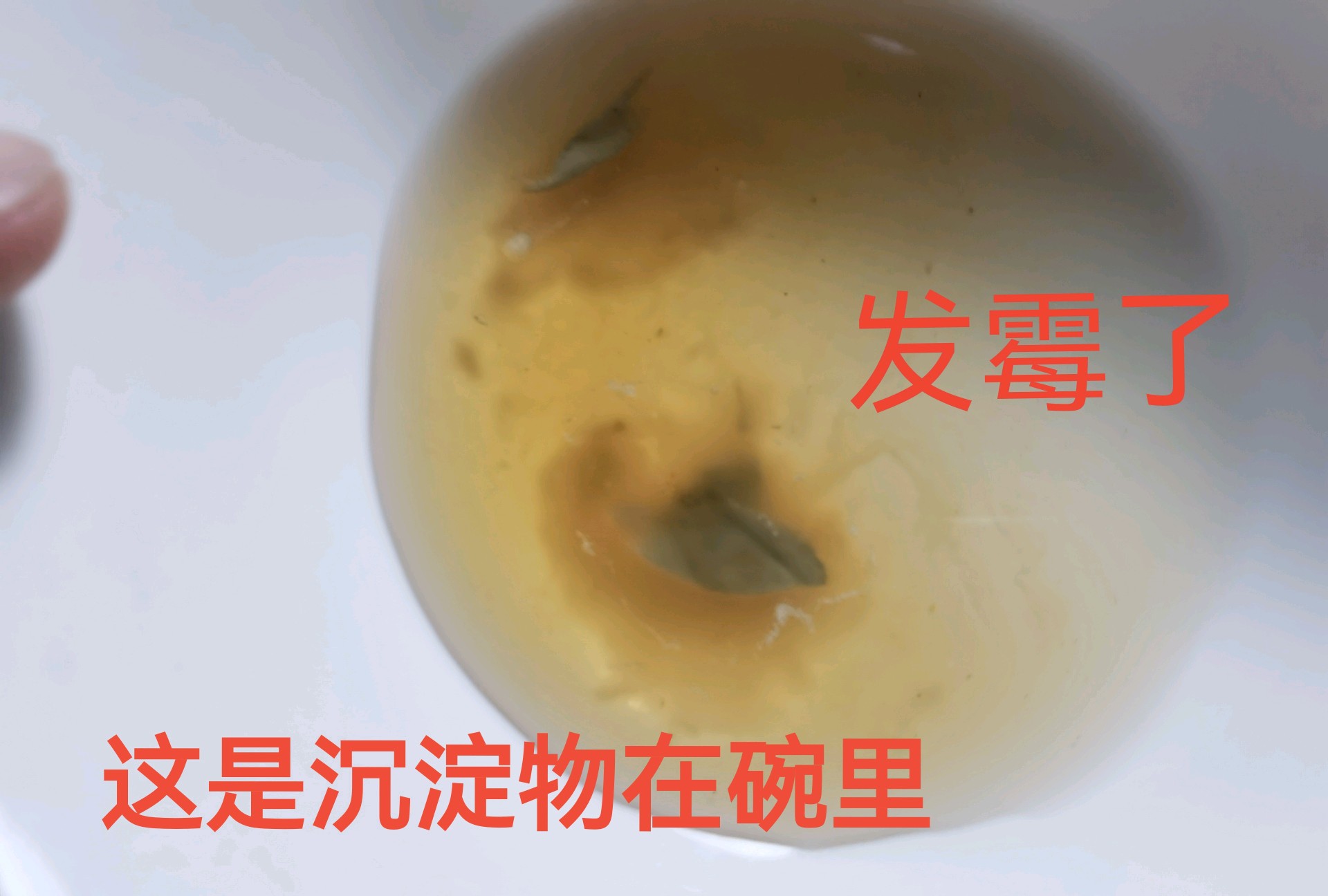 齐鲁晚报网-山东新闻门户 传播品质资讯