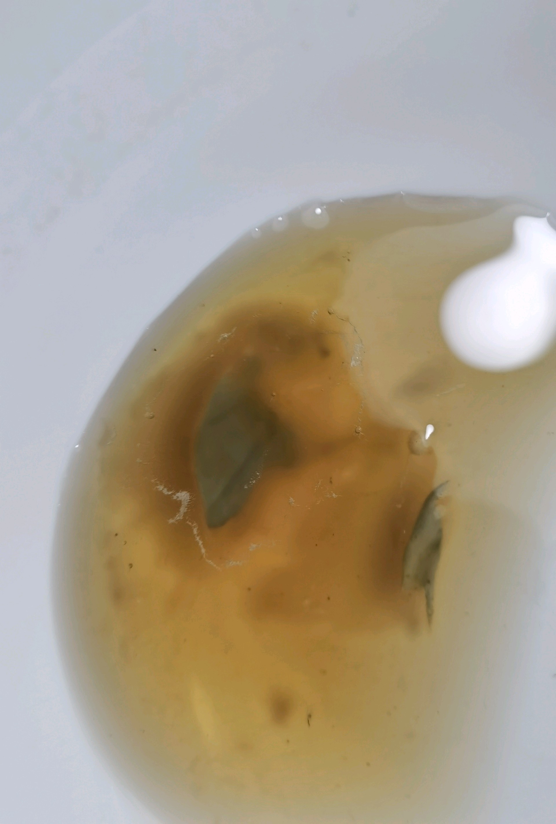 齐鲁晚报网-山东新闻门户 传播品质资讯