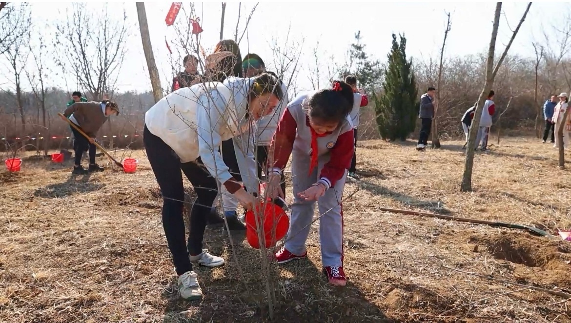 果然视频｜种下一抹绿，守护大自然！“动物森林植树季”等你来