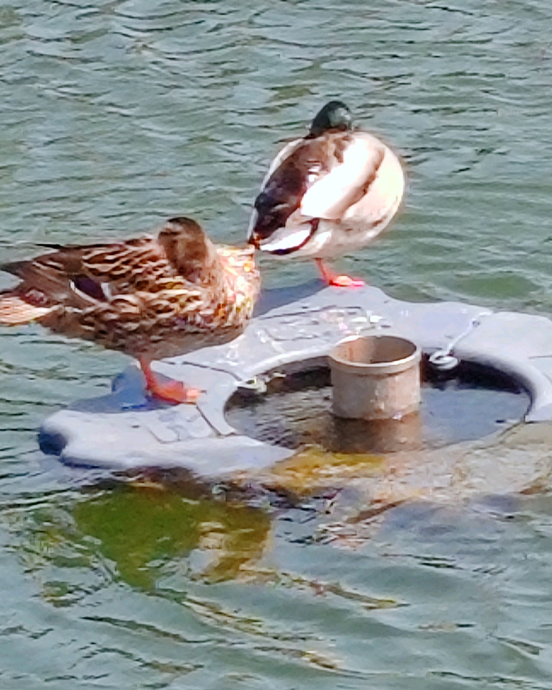 齐鲁晚报网-山东新闻门户 传播品质资讯