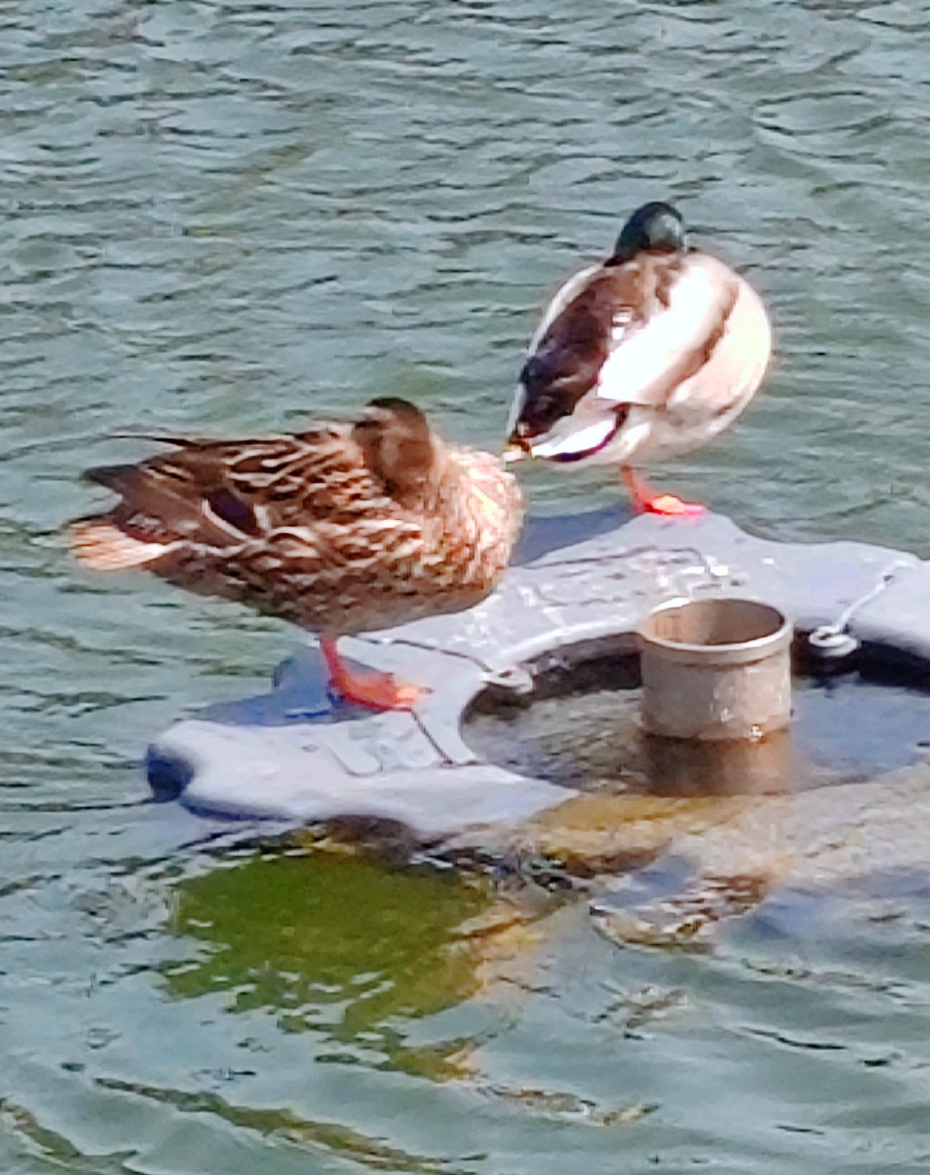 齐鲁晚报网-山东新闻门户 传播品质资讯