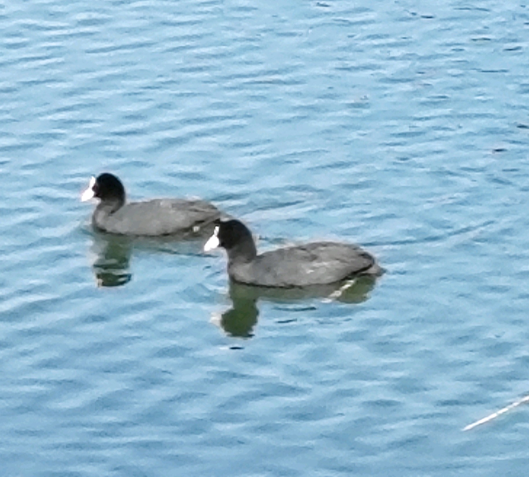 齐鲁晚报网-山东新闻门户 传播品质资讯