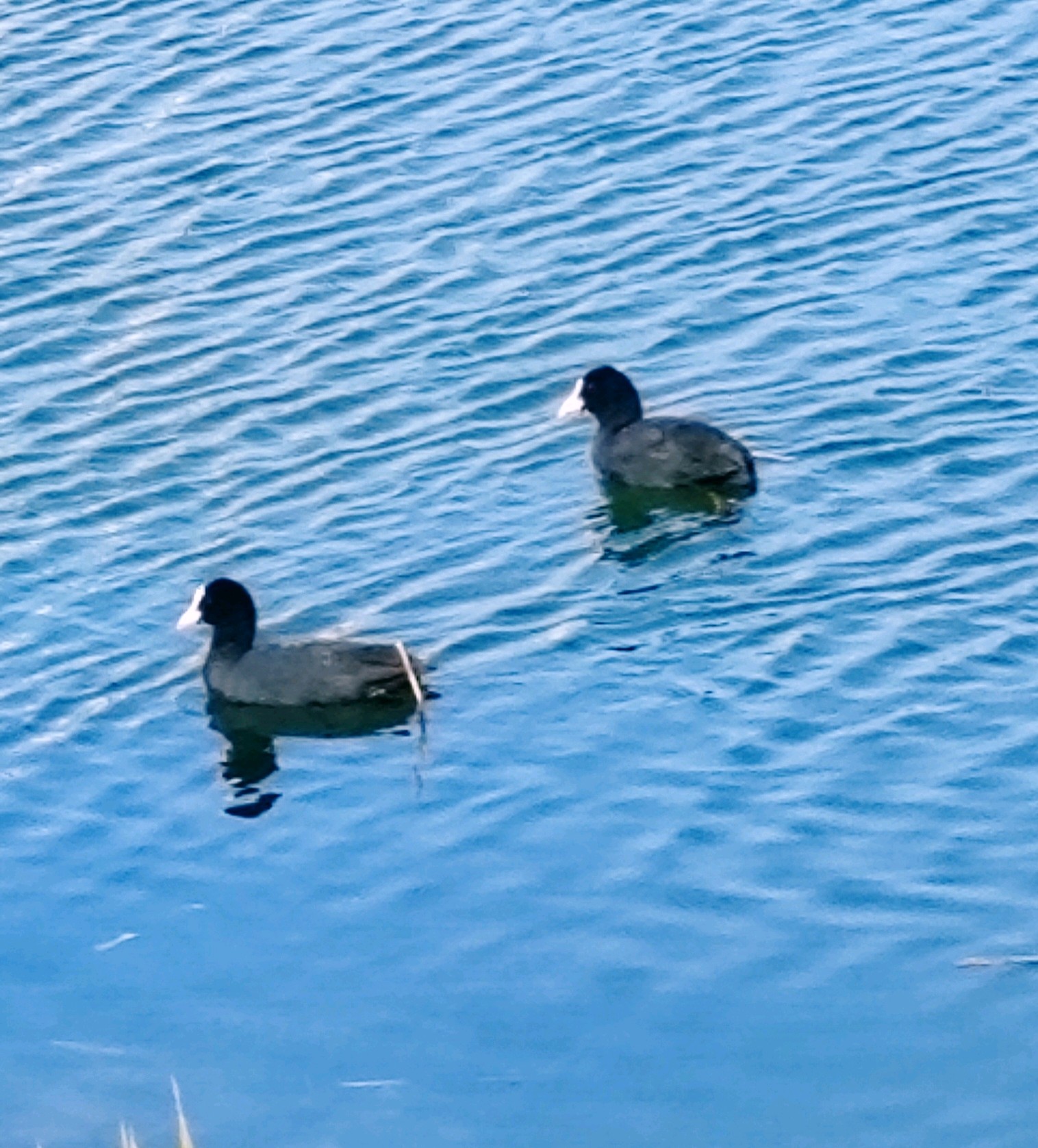 齐鲁晚报网-山东新闻门户 传播品质资讯