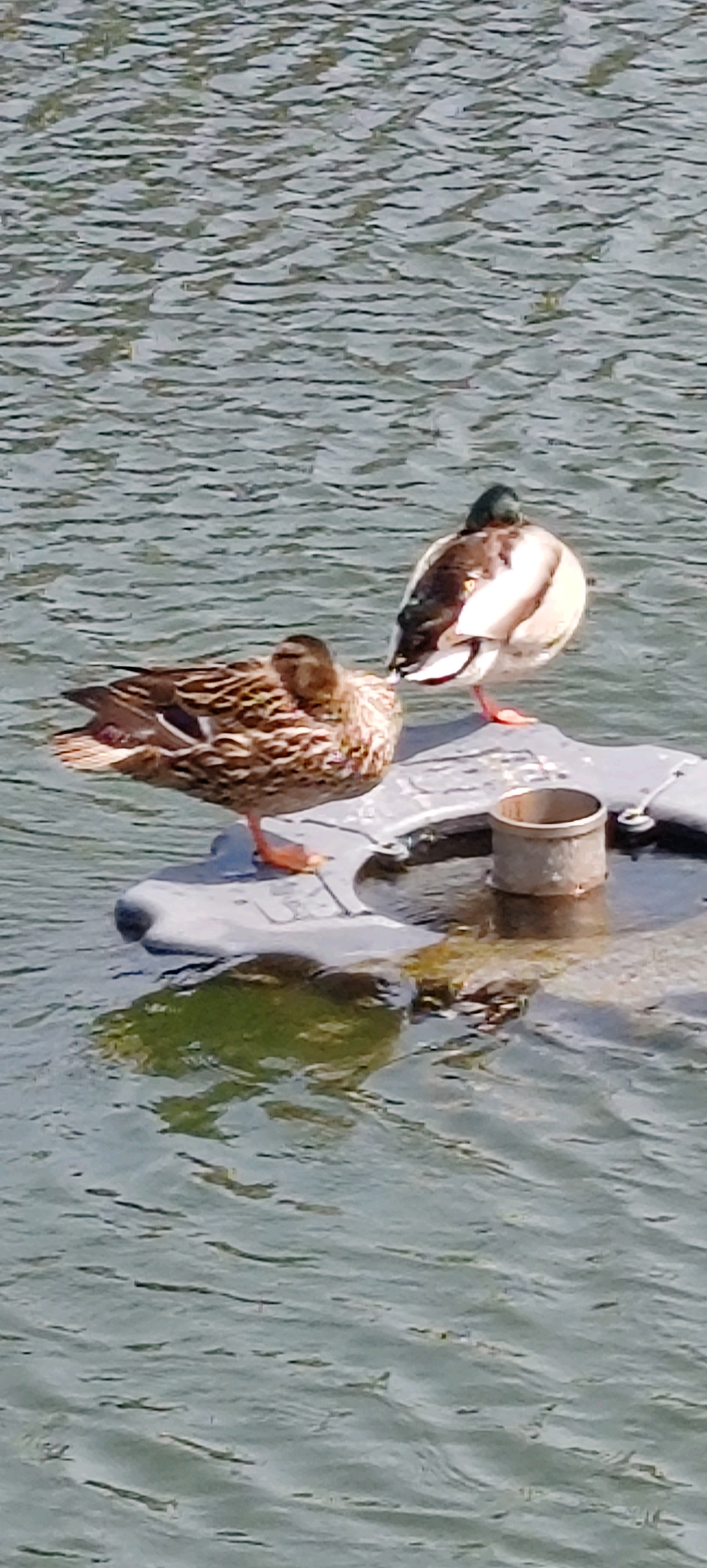 齐鲁晚报网-山东新闻门户 传播品质资讯