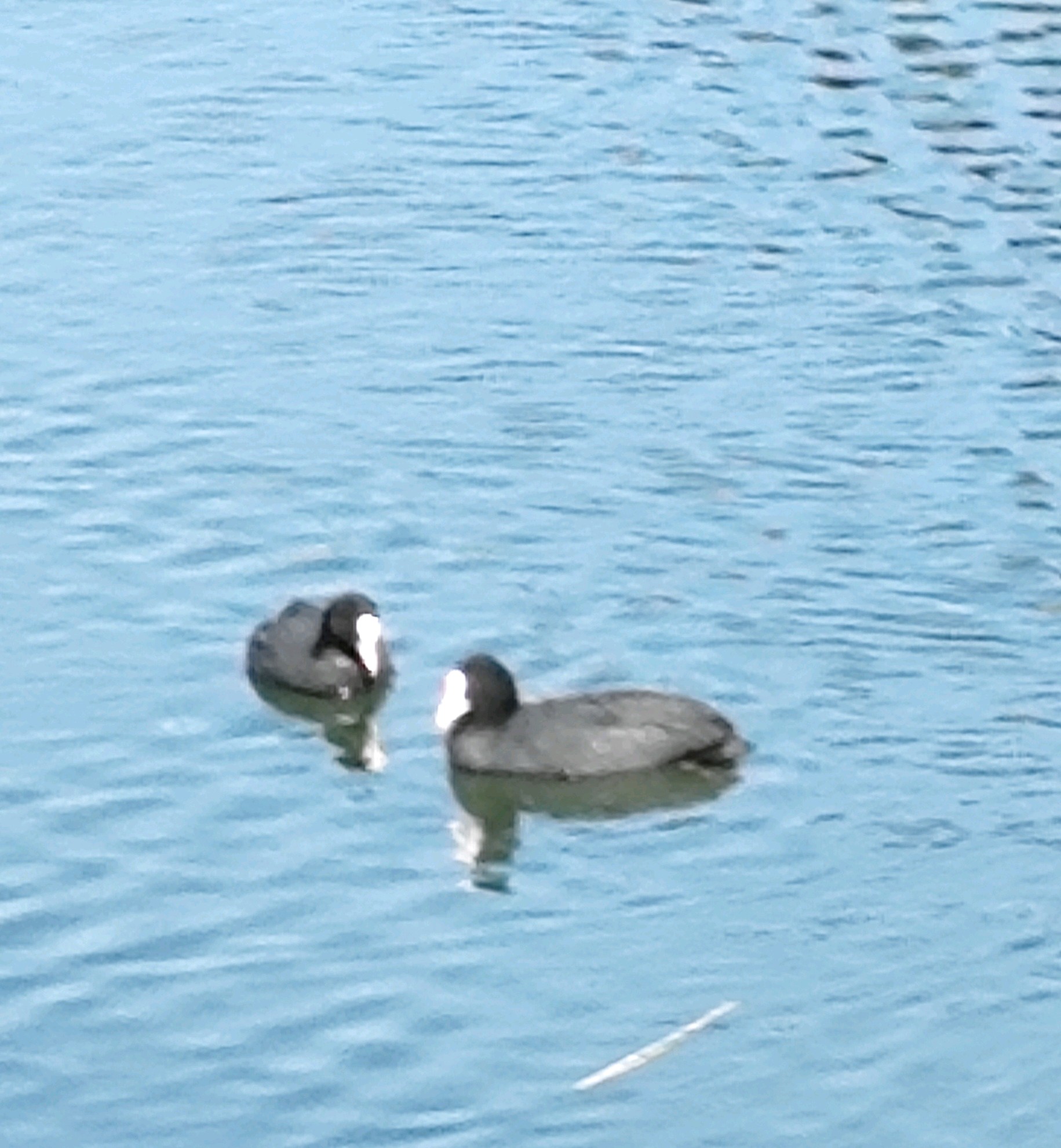 齐鲁晚报网-山东新闻门户 传播品质资讯