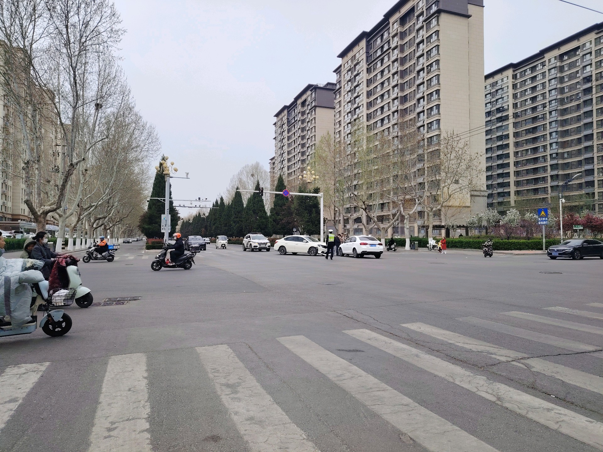 齐鲁晚报网-山东新闻门户 传播品质资讯