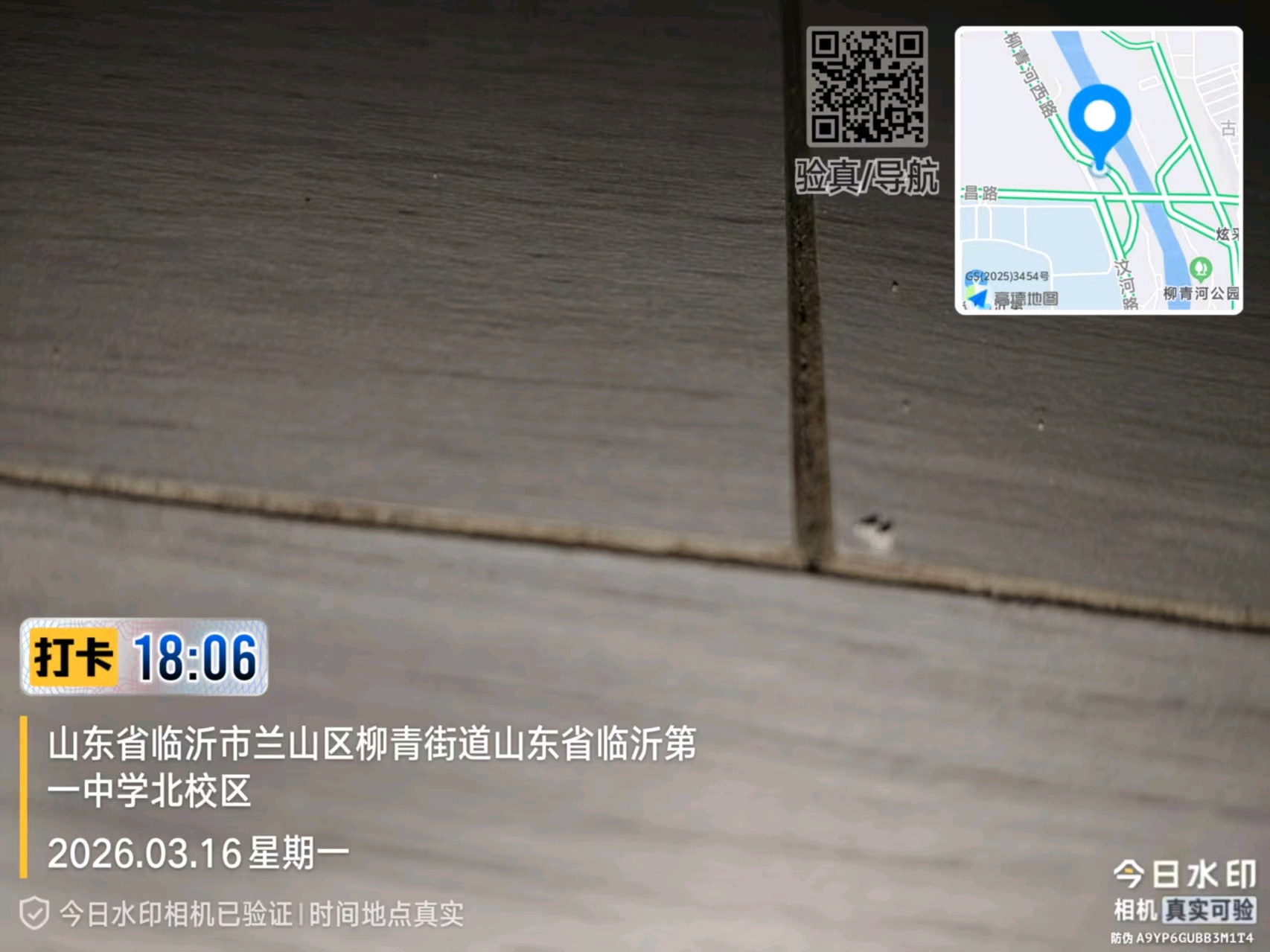 齐鲁晚报网-山东新闻门户 传播品质资讯