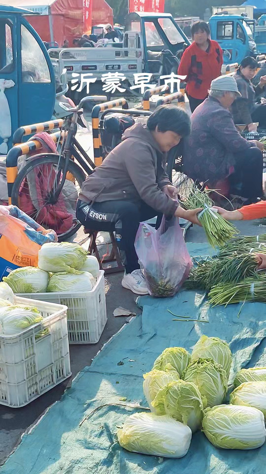 清晨赶早市，乐享人间烟火气