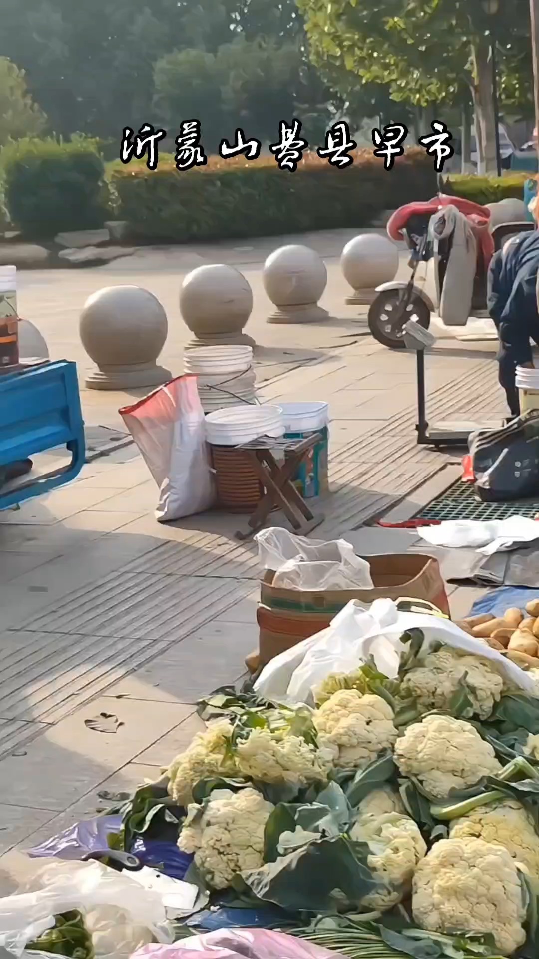 我来早市逛一逛