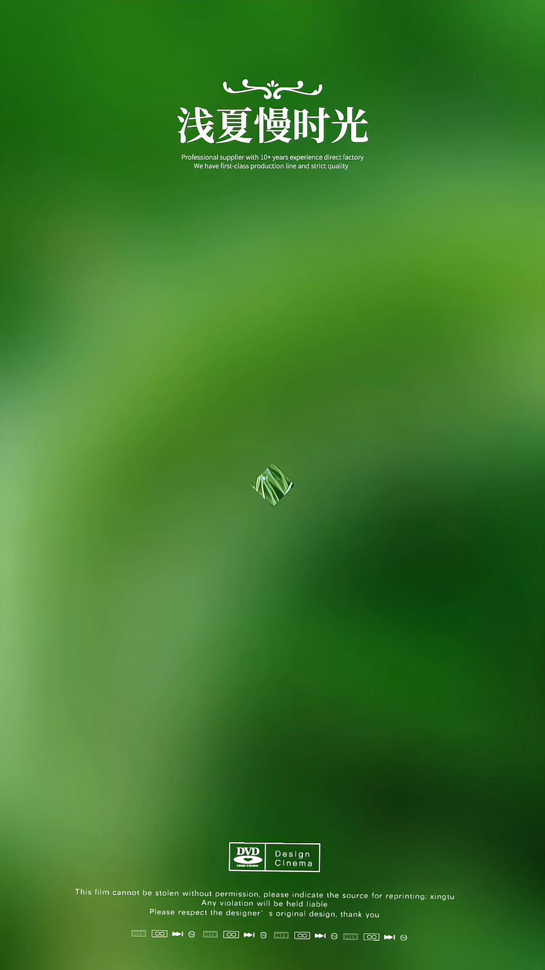 风雨过后，家乡的这狗尾巴草勾起了我儿时许多记忆