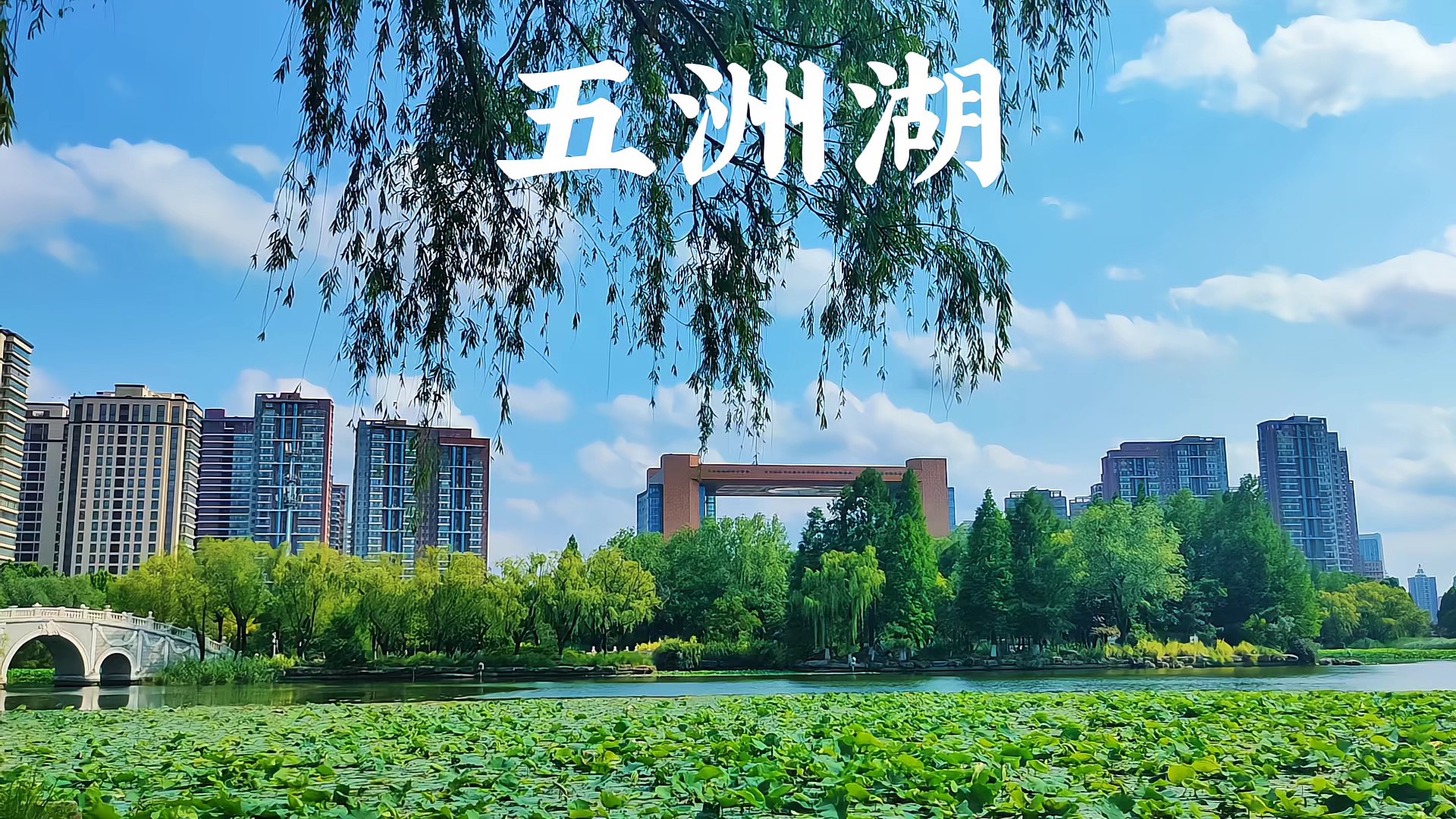 清晨五洲湖