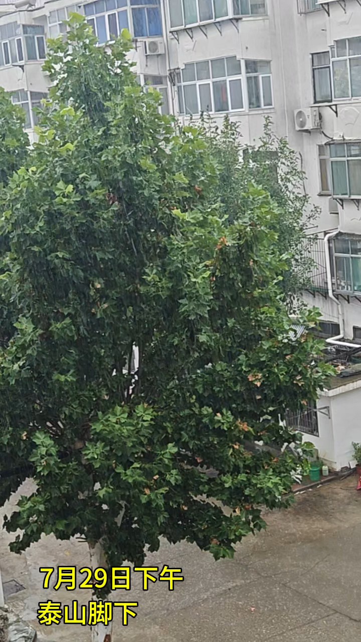 这雨，说下就下，一点也不商量