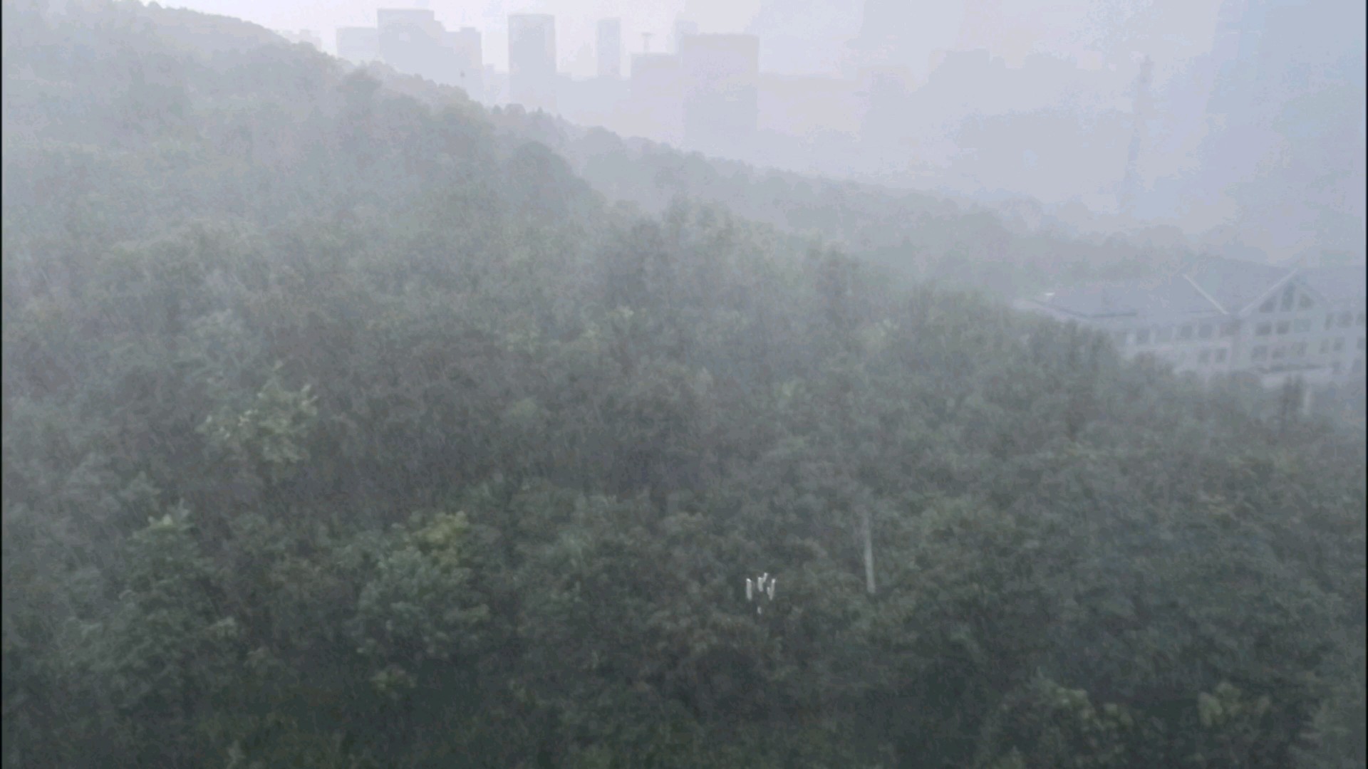 今天下午济南又下大雨了！