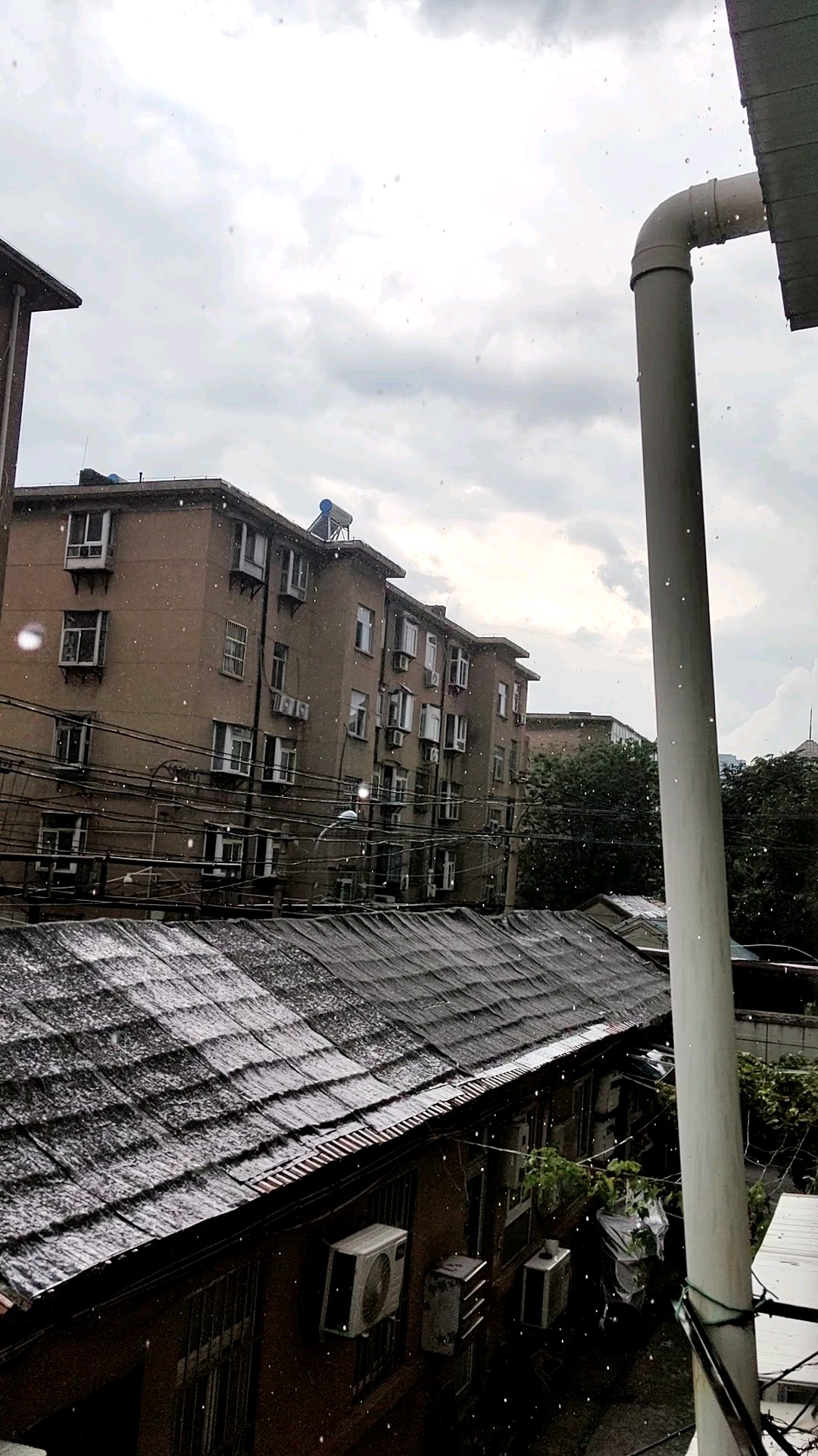 七月廿九日下午，几阵急雨响，雷声轰轰，东黑西亮。