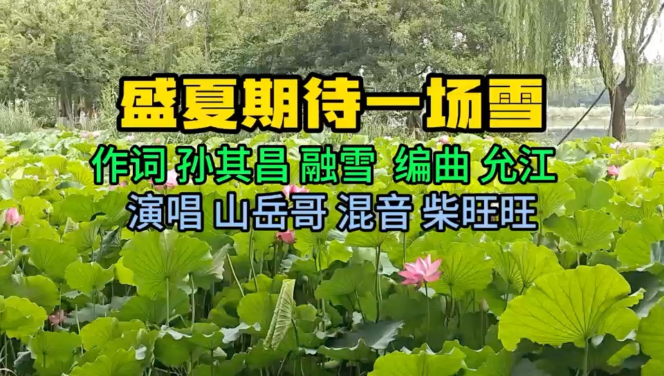 盛夏期待一场雪.作词孙其昌 融雪  视频聂建民