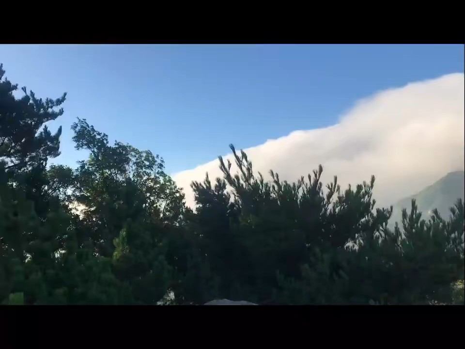 省级自然保护区~蓬莱艾山山顶的云️治愈了生活中所有的喧嚣…