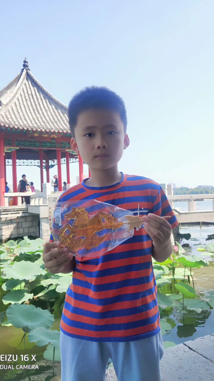 夏日炎炎的大明湖风景独好