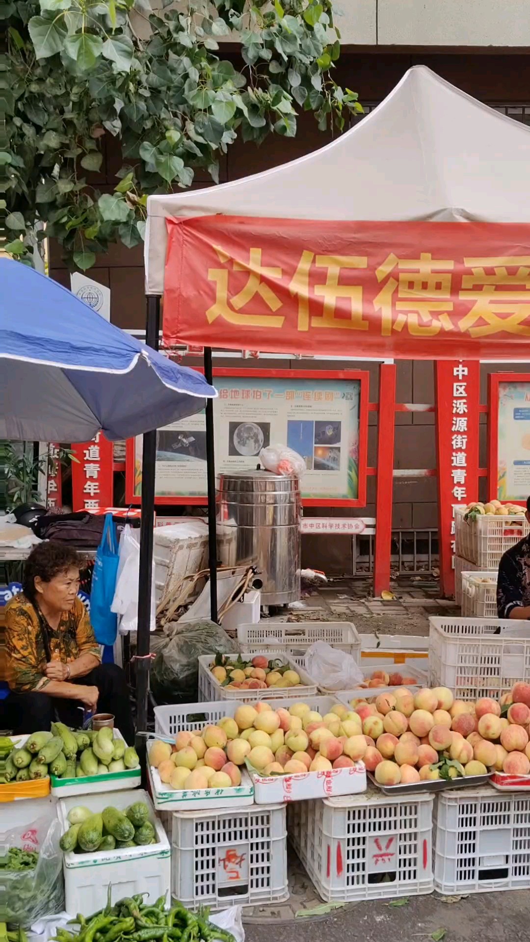 市集外的小菜市场上，全是南山农民自己种的新鲜水果和蔬菜。