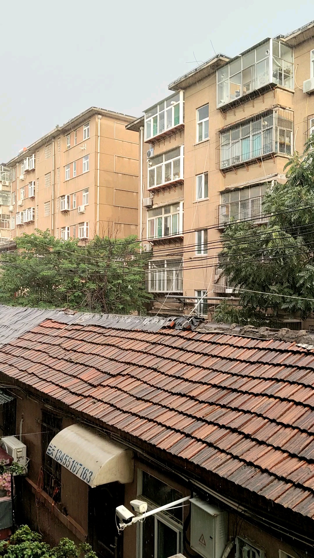 七月三十日晚六点半，夕阳照亮对面楼上，大雨倾盆又是一场。