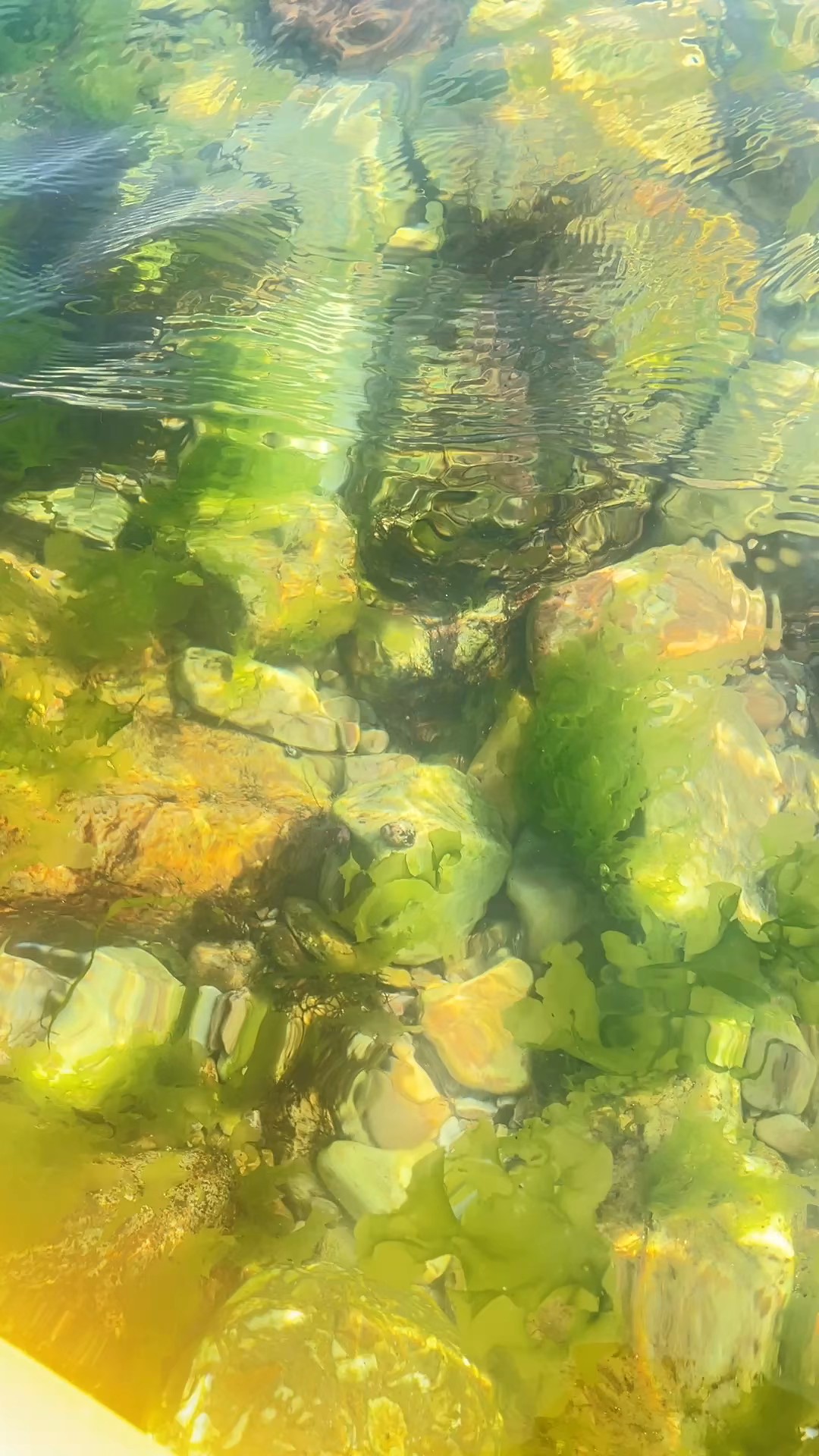 微波荡漾清澈见底洁净的长岛海域，是旅游休假洗澡赶海的世外桃源