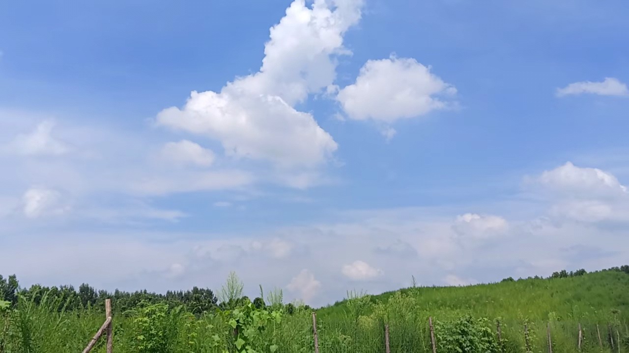 农场风景:济宁孙彦玲写实光影