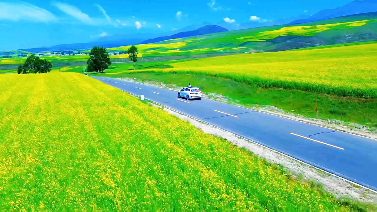 醉美的风景在路上