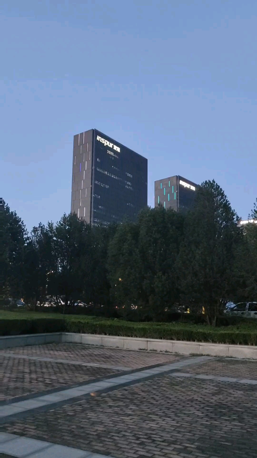 八一周六奥体傍晚，华灯初上晚霞满天，经十路上热闹非凡。