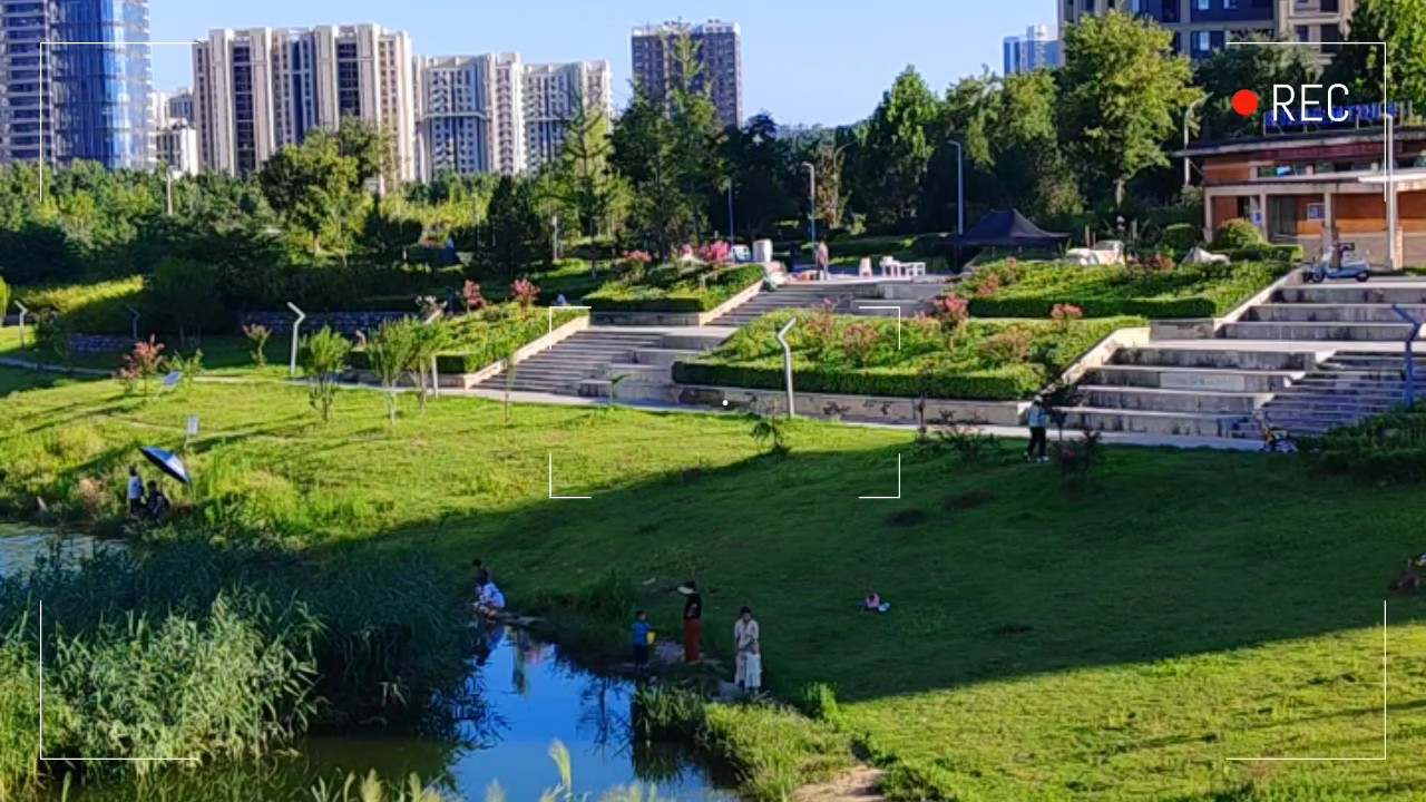 高温下的韩仓河静悄悄，热闹的人群不见了只有几位钓鱼者在坚守