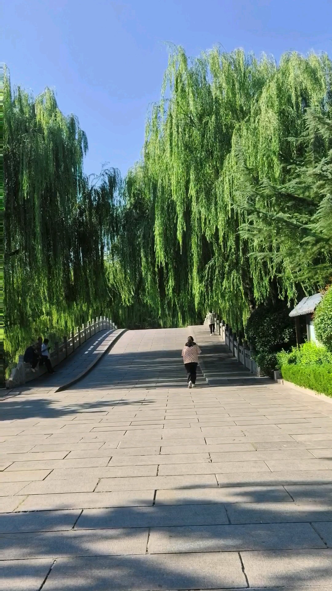 “东藩驻皂盖，北渚凌青荷。”《北渚桥》晨起明湖