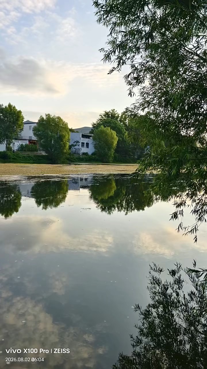 夏日的玉符河真热闹，有孩子在游泳的，有钓鱼的，有网小鱼小虾的