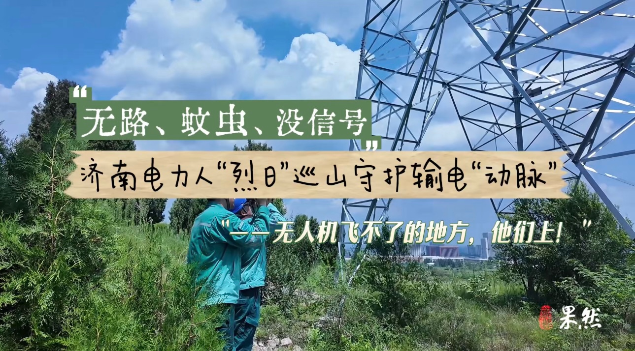 果然视频｜40℃高温、60米塔杆……电力人山林里蹚出巡检路