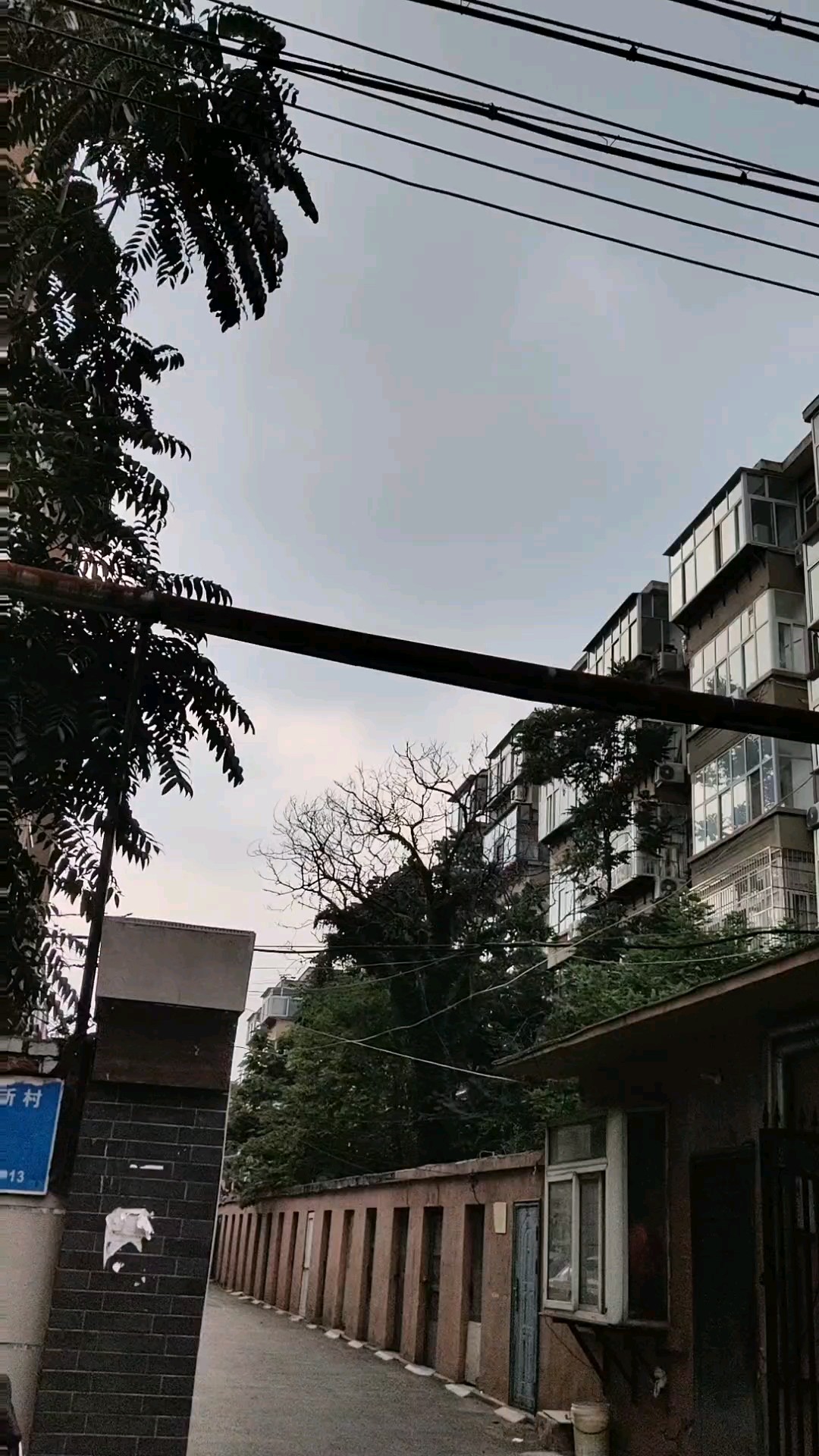 下午四点，乌云遮半天，一声闷雷高温散，立秋差两天。