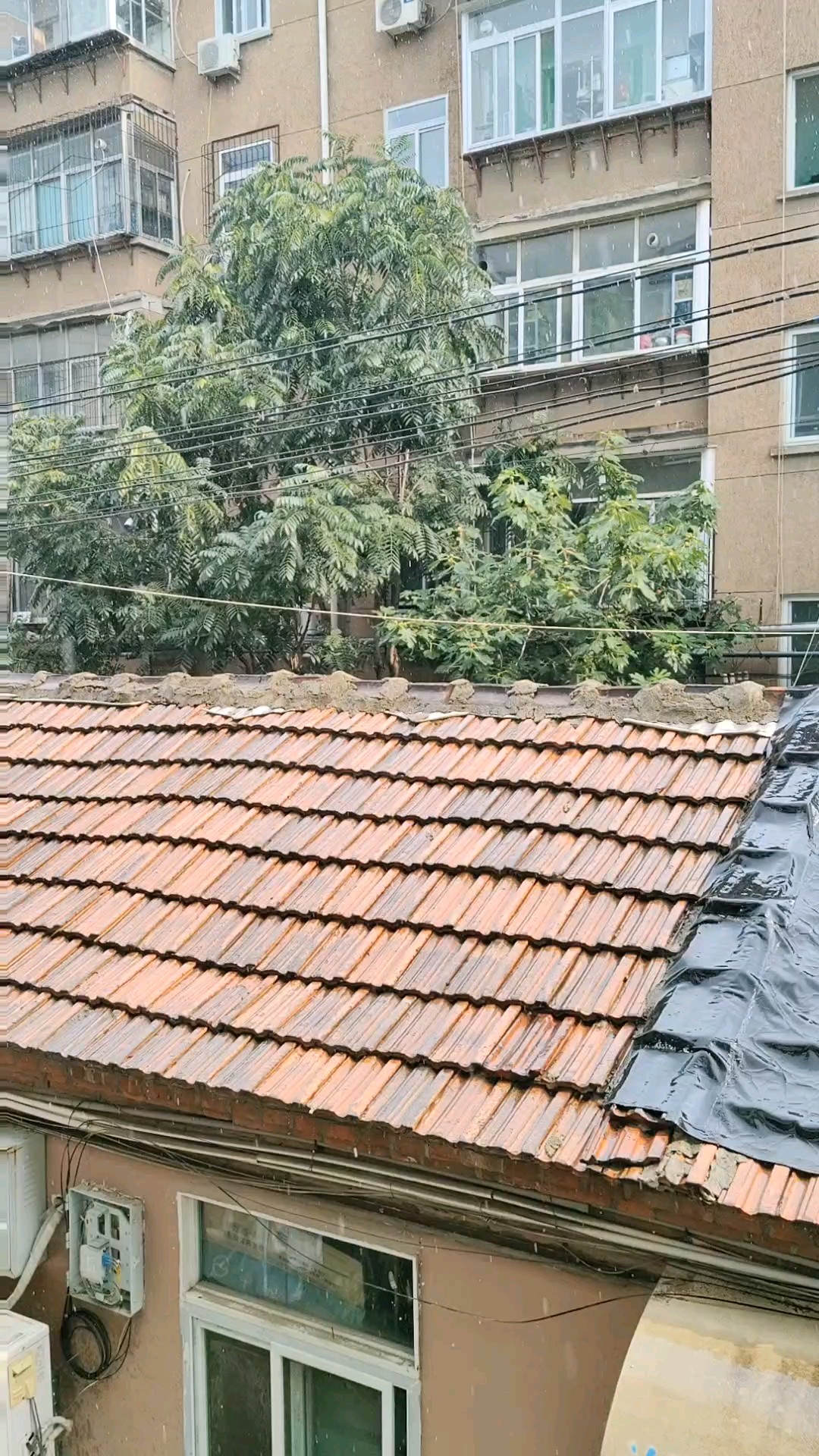 西来阳光东来雨，刚见乌云，雷雨说到就到。4点15分。