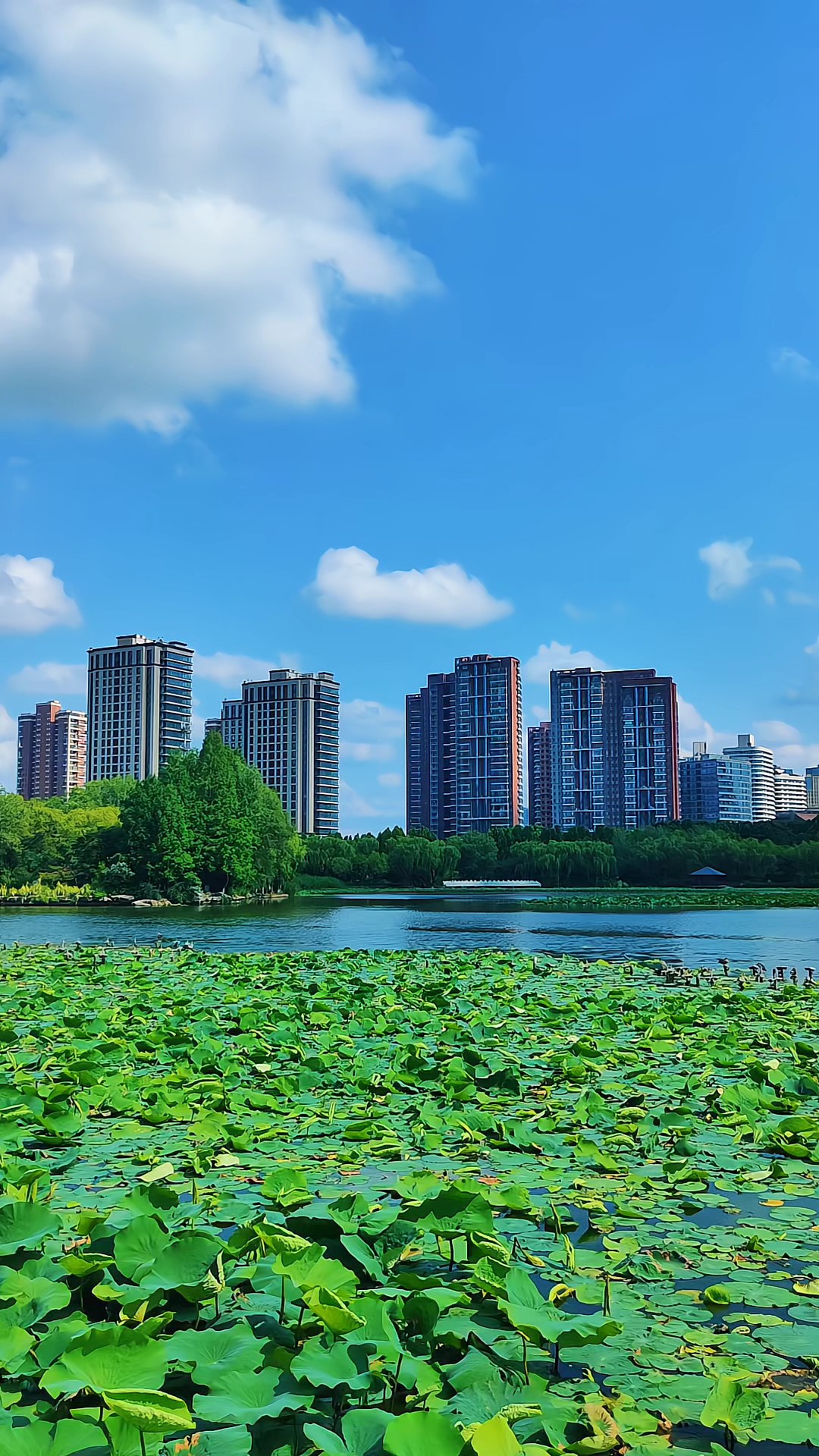 风采五洲湖