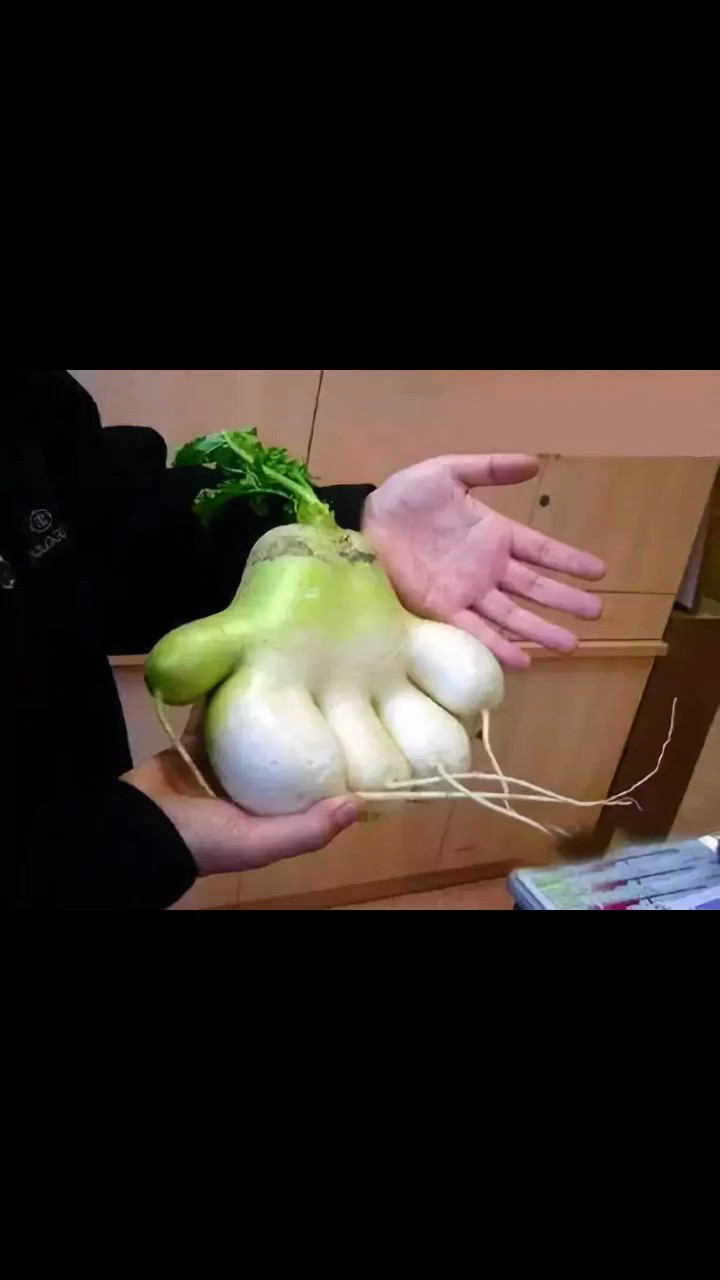奇怪的果蔬真是太罕见了